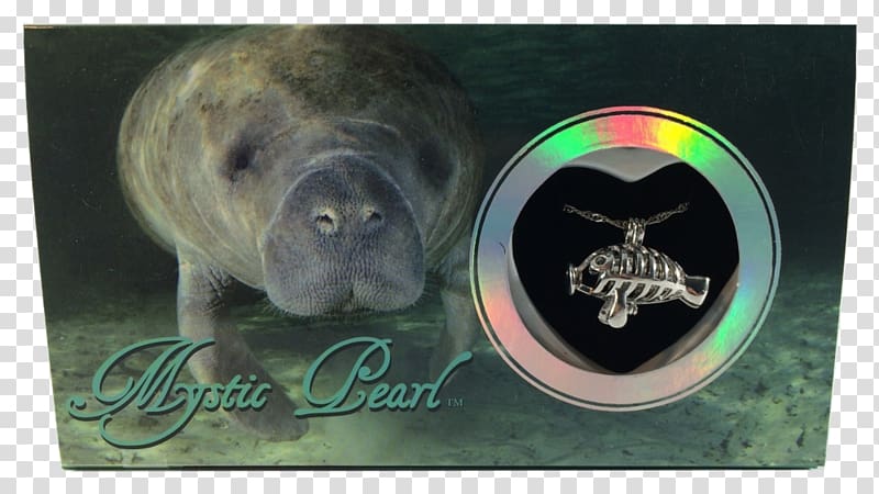 Hewlett-Packard Sea cows Clam Pig Agfa, hewlett-packard transparent background PNG clipart