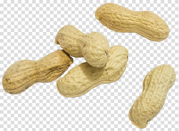 Superfood Ingredient Peanut Commodity, groundnut transparent background PNG clipart
