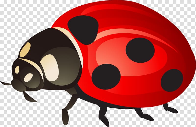 Ladybird Beetle , Painted red ladybug transparent background PNG clipart