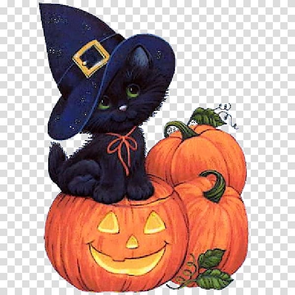 Halloween Party 31 October Blog witch, halloween transparent background PNG clipart