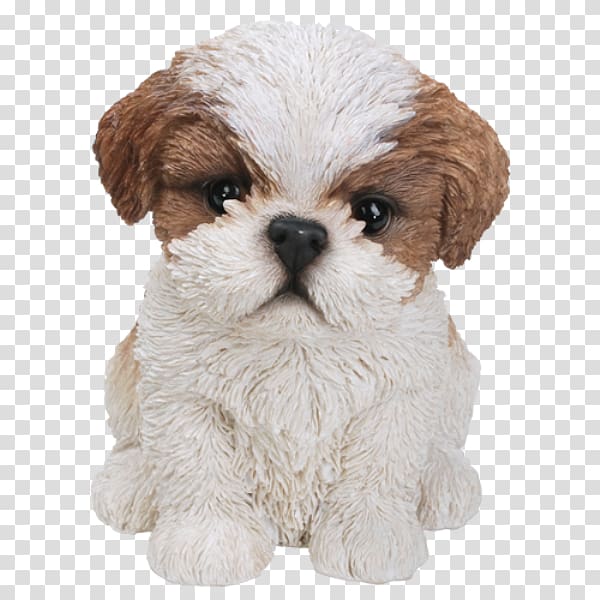 Shih Tzu Puppy Bichon Frise Poodle Yorkshire Terrier, maltese shih tzu transparent background PNG clipart