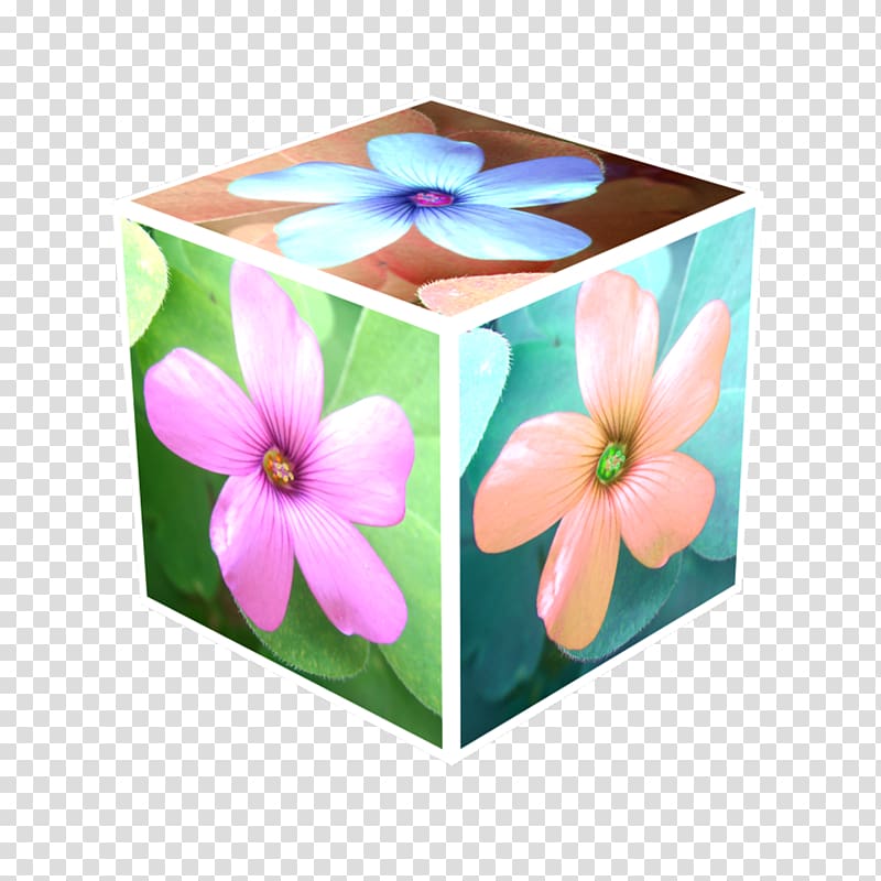 Three-dimensional space Cube Quizlet Animaatio, cube transparent background PNG clipart