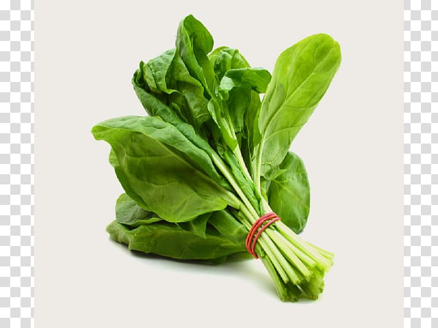 Spinach Saag Leaf vegetable Scallion, vegetable transparent background PNG clipart