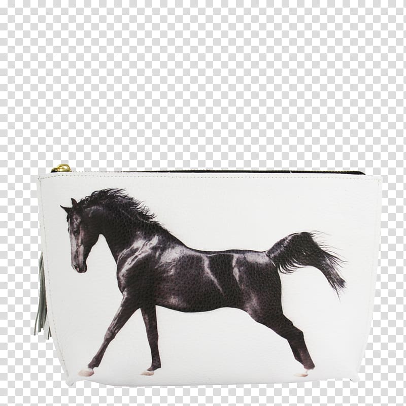 Arabian horse Akhal-Teke Stallion Gallop Black, horsehead printing transparent background PNG clipart