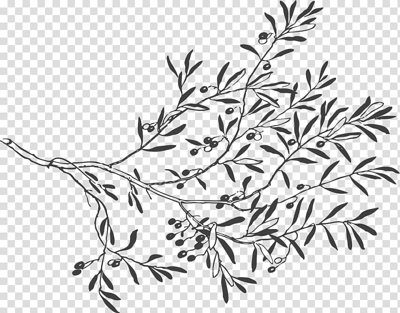 Olive branch , olive branch transparent background PNG clipart