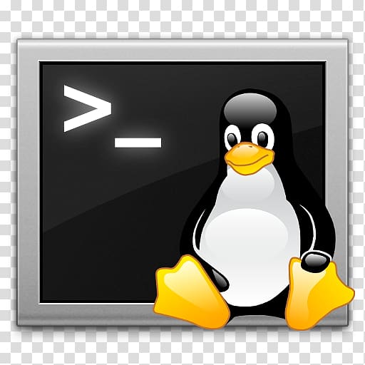 Shell script Command-line interface Unix shell Bash, Shell transparent background PNG clipart