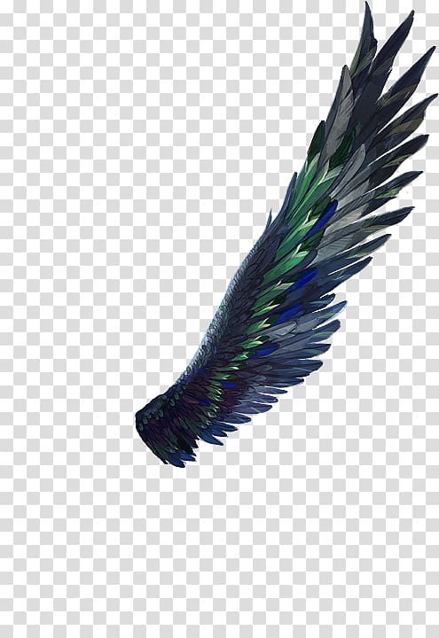 Dragon Rider: The Griffin\'s Feather The Thief Lord, pegasus hair transparent background PNG clipart