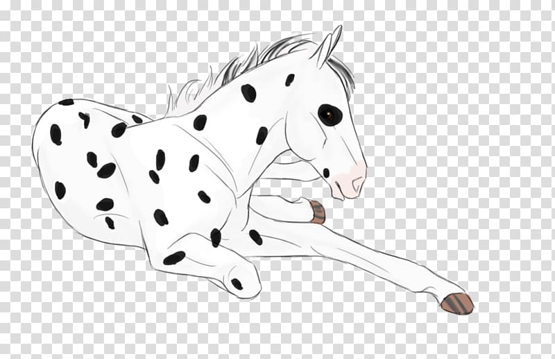 Dalmatian dog Cat Horse Non-sporting group Paw, Canter And Gallop transparent background PNG clipart