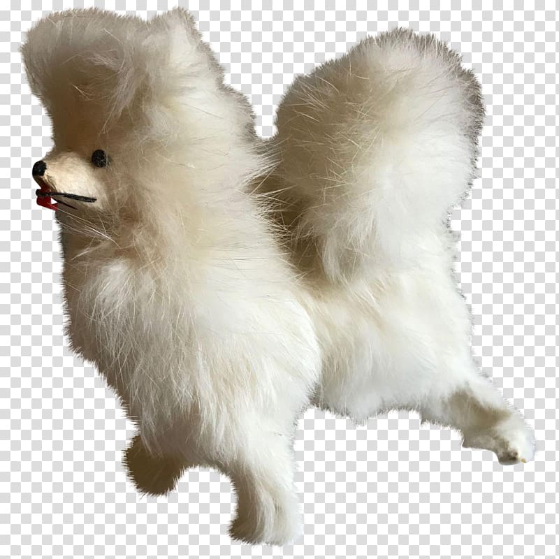 German Spitz Klein German Spitz Mittel Japanese Spitz Pomeranian American Eskimo Dog, others transparent background PNG clipart