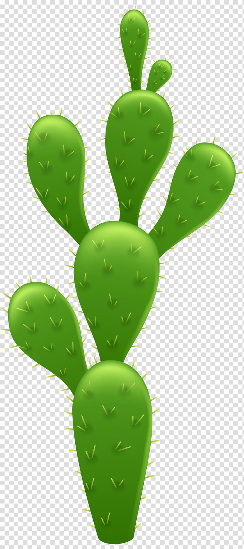 cactus illustration, Cactaceae Saguaro , Cactus transparent background PNG clipart