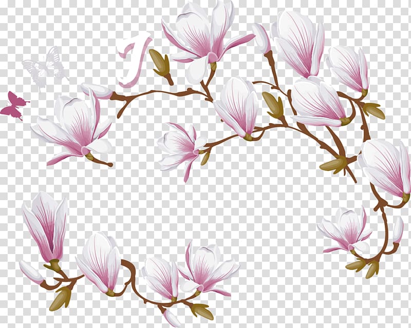pink saucer magnolia illustration, Magnolia denudata Love, Magnolia flower decoration transparent background PNG clipart