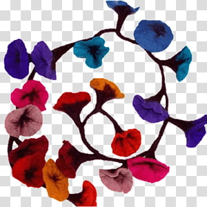 Petal Floral design Cut flowers, design transparent background PNG clipart thumbnail