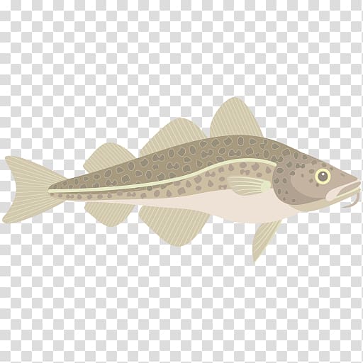 Duxbury Bay Maritime School Sardine Computer program Database management system Squaliform sharks, others transparent background PNG clipart