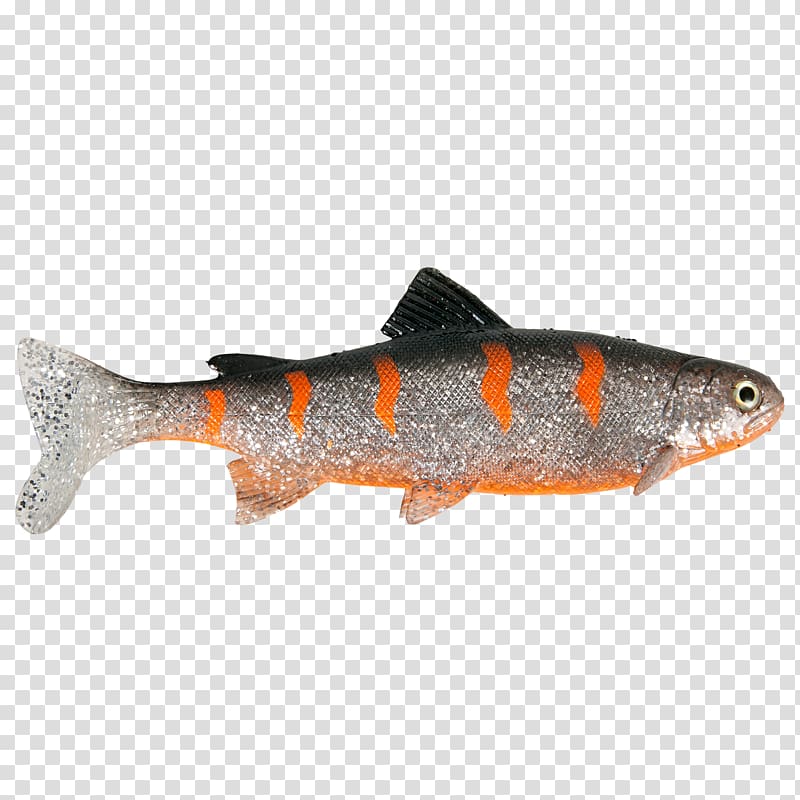 Trout Fishing Baits & Lures Herring Oily fish, trout transparent background PNG clipart