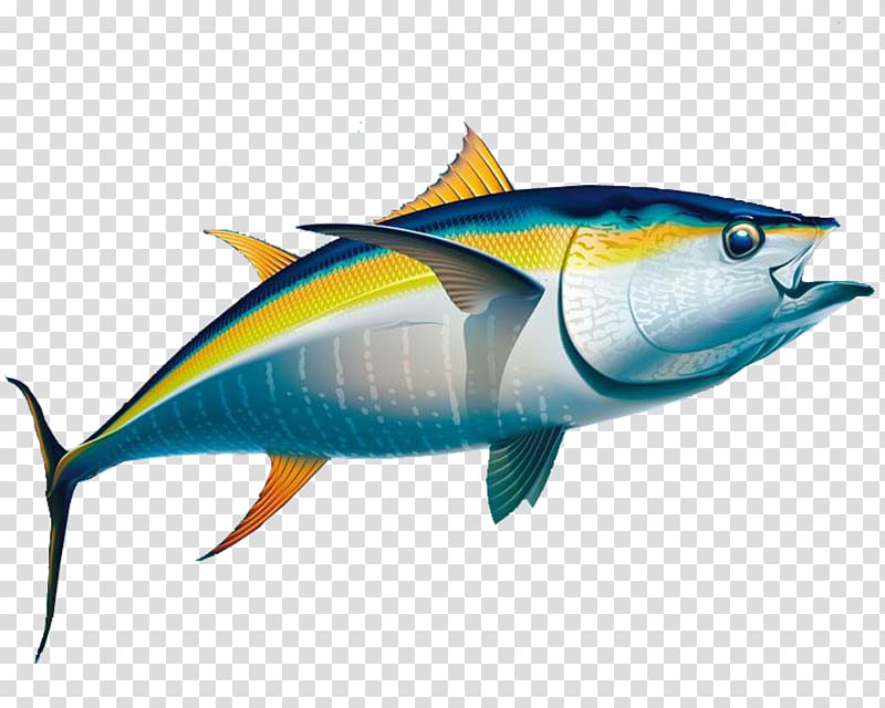 silver and blue fish , Yellowfin tuna Fishing Albacore, Cute Dolphin transparent background PNG clipart