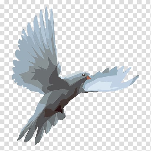 Columbidae Domestic pigeon, Silhouette transparent background PNG clipart