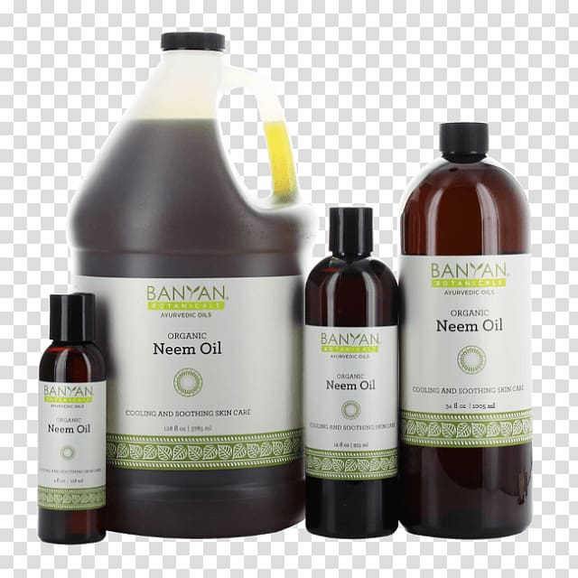 Neem Tree Neem oil Ayurveda Skin, Neem oil transparent background PNG clipart