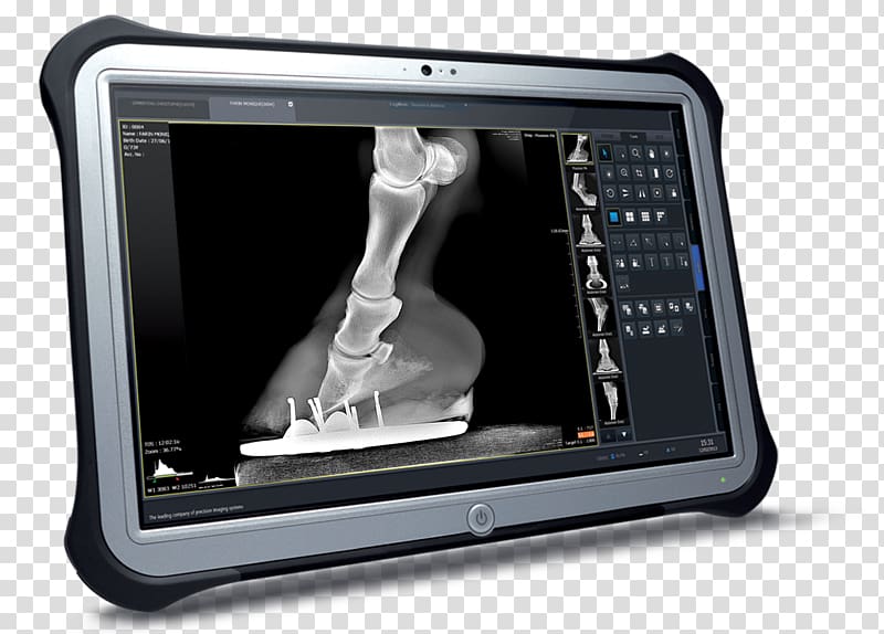 Radiology Veterinarian Tablet Computers Veterinary medicine Medical imaging, doctor with ipad transparent background PNG clipart
