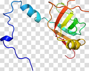 Line Point Organism , line transparent background PNG clipart thumbnail