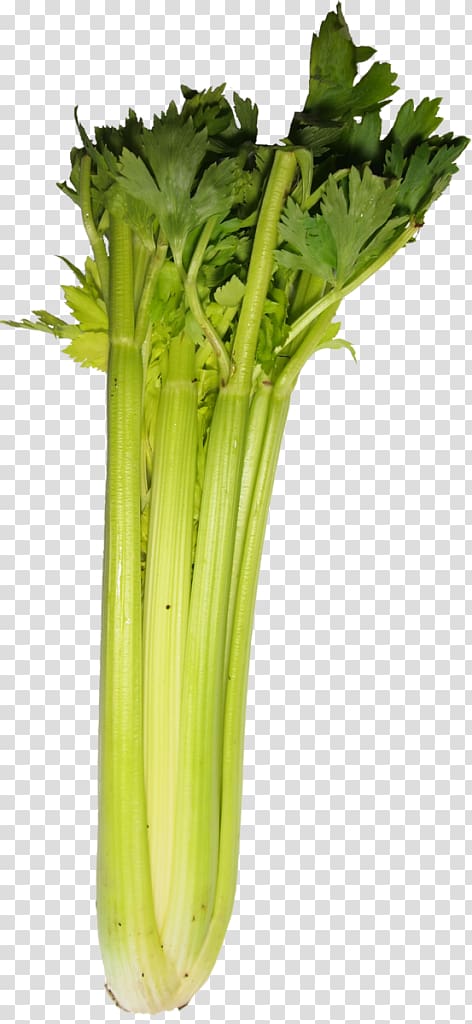 Celery Spring greens Food Komatsuna Vegetable, vegetable transparent background PNG clipart