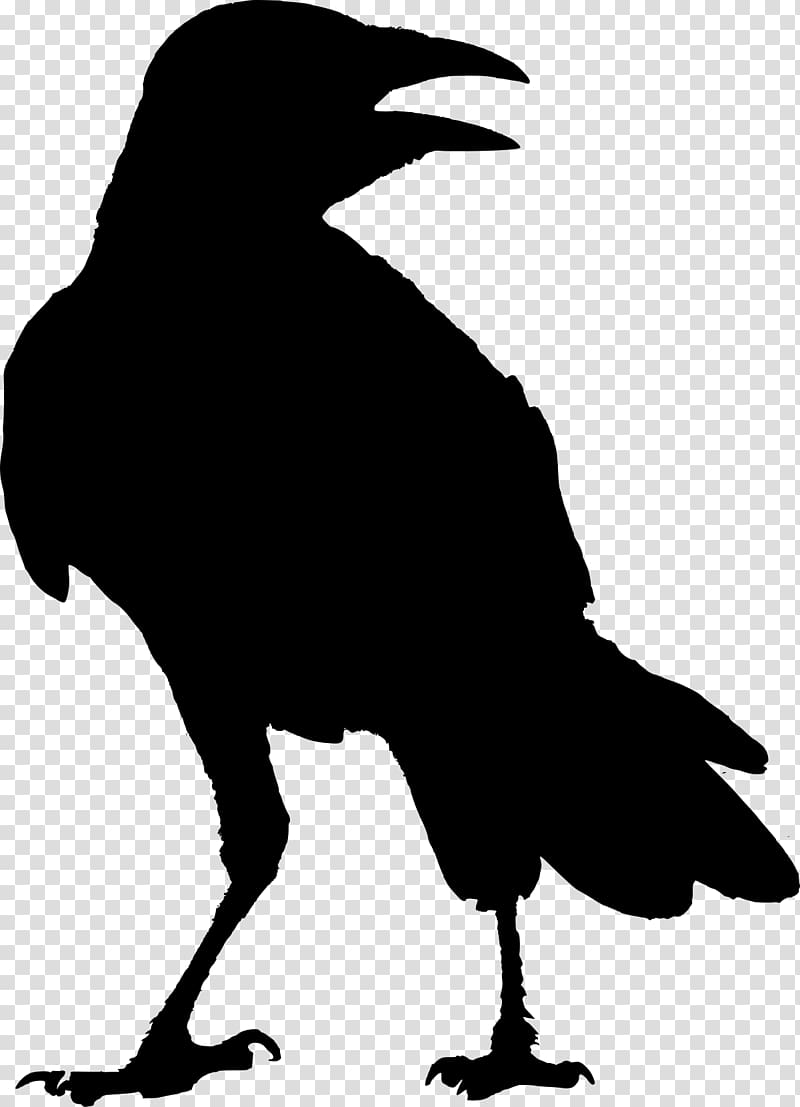 Common raven G Whitcoe Designs The Raven Odin, culture and art transparent background PNG clipart