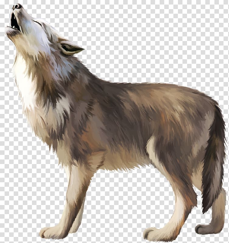 gray wolf illustration, Gray wolf Icon, Wolf transparent background PNG clipart