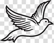 Columbidae Release dove Funeral , dove transparent background PNG clipart