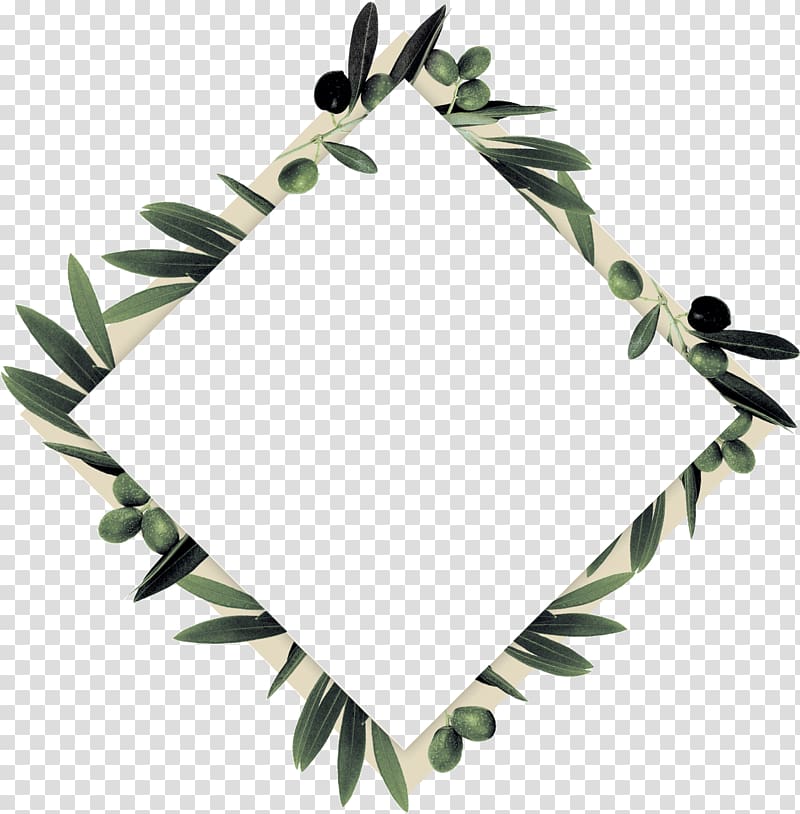 Twig Olive Branch Leaf, innovative thinking transparent background PNG clipart
