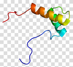 Line Point Organism , line transparent background PNG clipart thumbnail