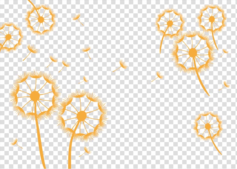 Common Dandelion Euclidean Pissenlit, Umbrella Dandelion material transparent background PNG clipart