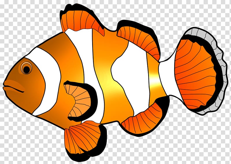 Fish , Clownfish transparent background PNG clipart