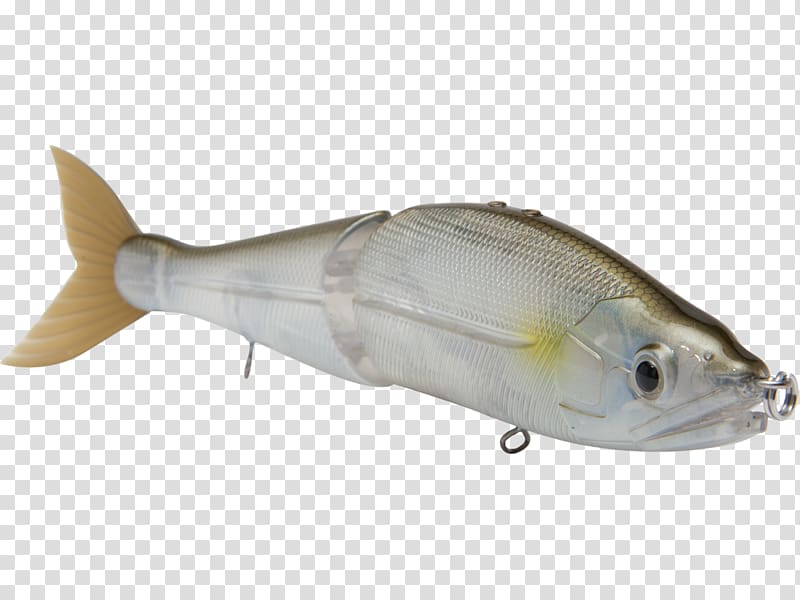 Plug Northern pike Milkfish Fishing Baits & Lures Swimbait, Fishing transparent background PNG clipart