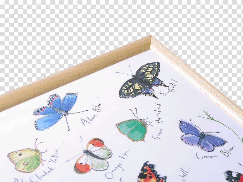 Butterfly Paper Tray, butterfly festival transparent background PNG clipart