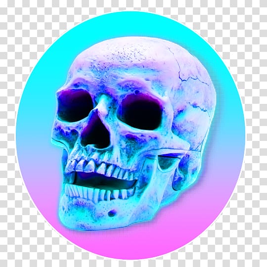Skull Human skeleton, холод transparent background PNG clipart