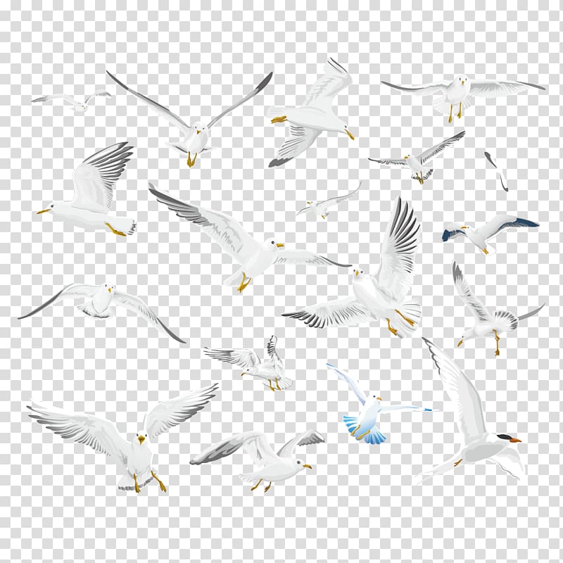 Gulls Bird Make More!, Flying Pigeon Creative Collection transparent background PNG clipart