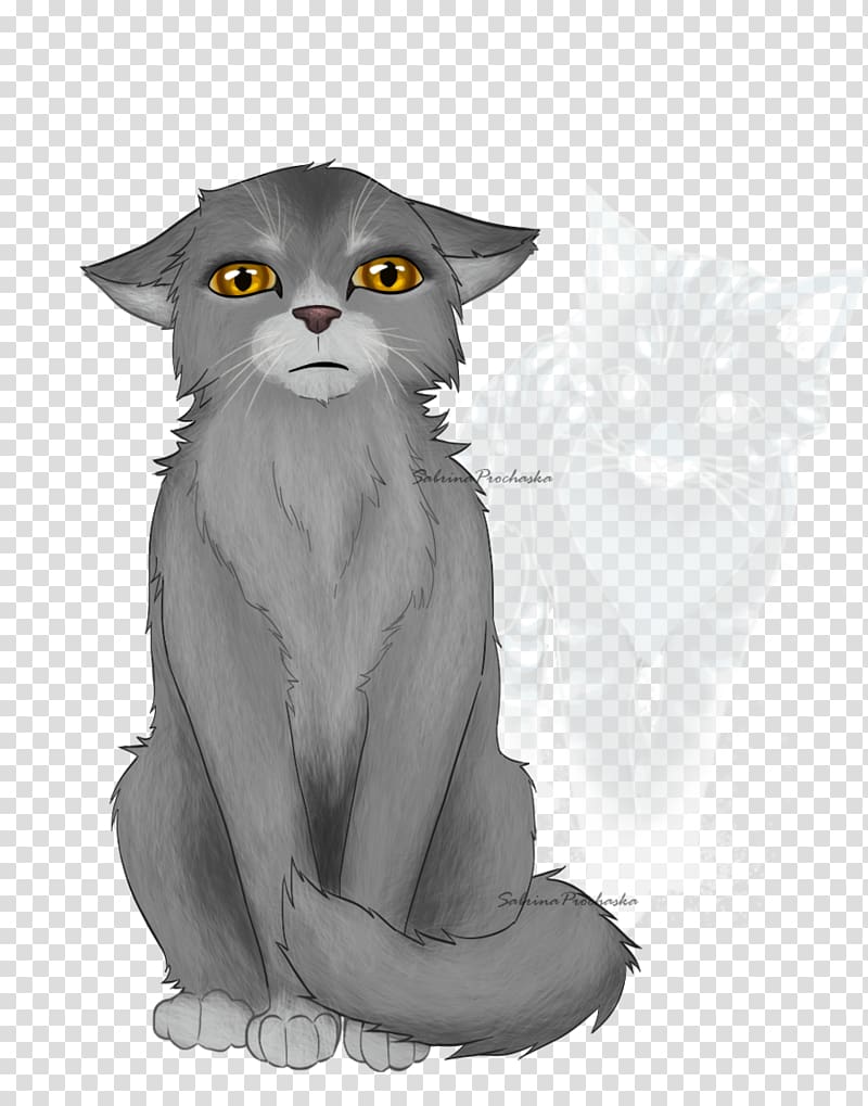 Whiskers Kitten Into the Wild Warriors Graystripe, kitten transparent background PNG clipart