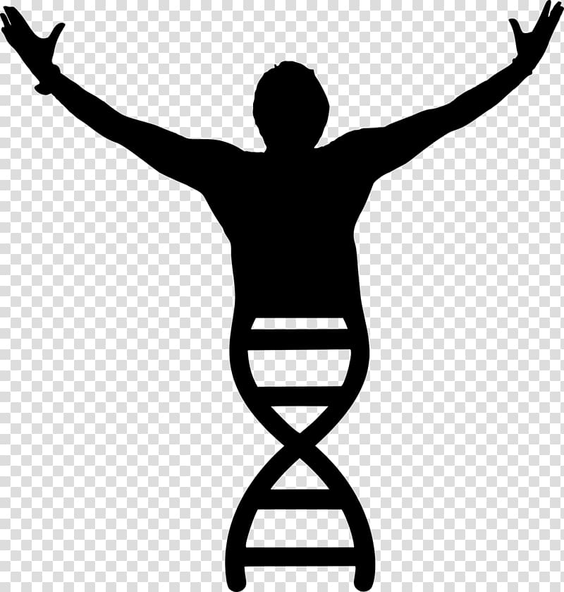 Molecular biology DNA , victory transparent background PNG clipart