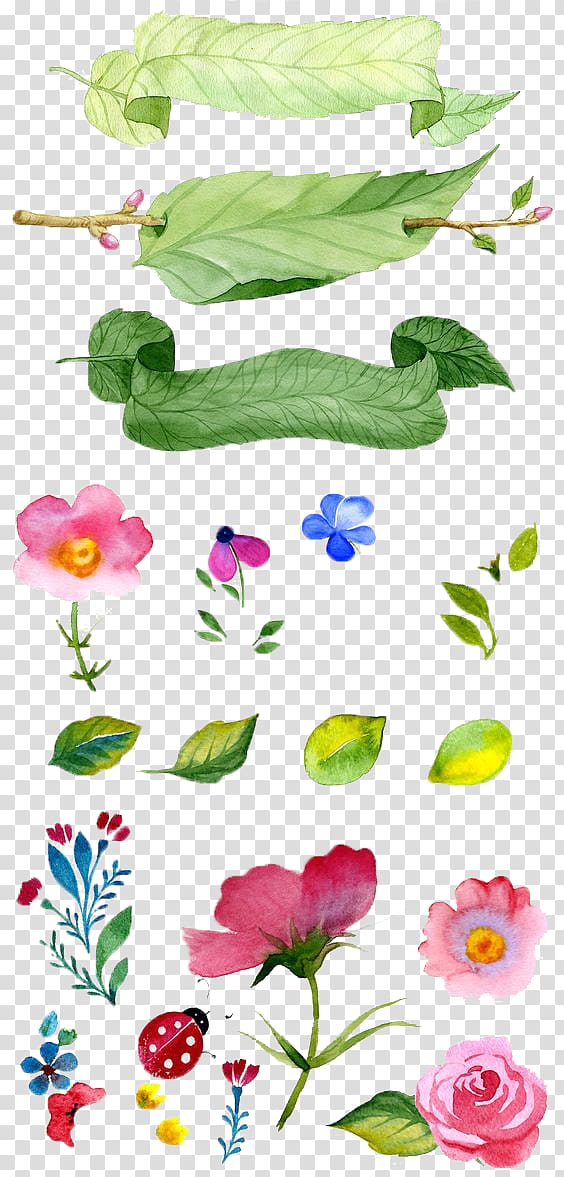 Watercolor painting Flower Illustration, Hand-painted flowers, leafs and flowers illustration transparent background PNG clipart