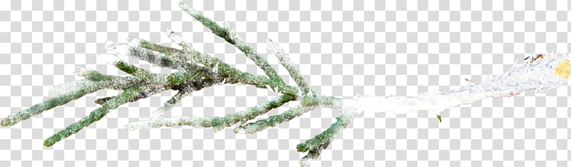 Tree Branch Snow, Snow-covered branches transparent background PNG clipart