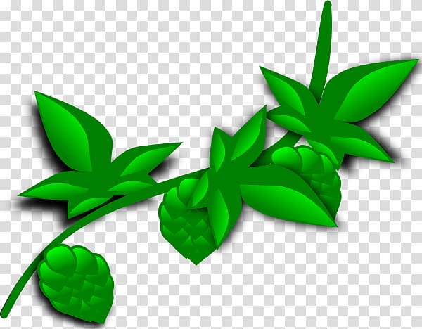 Plant Coca , Hops transparent background PNG clipart