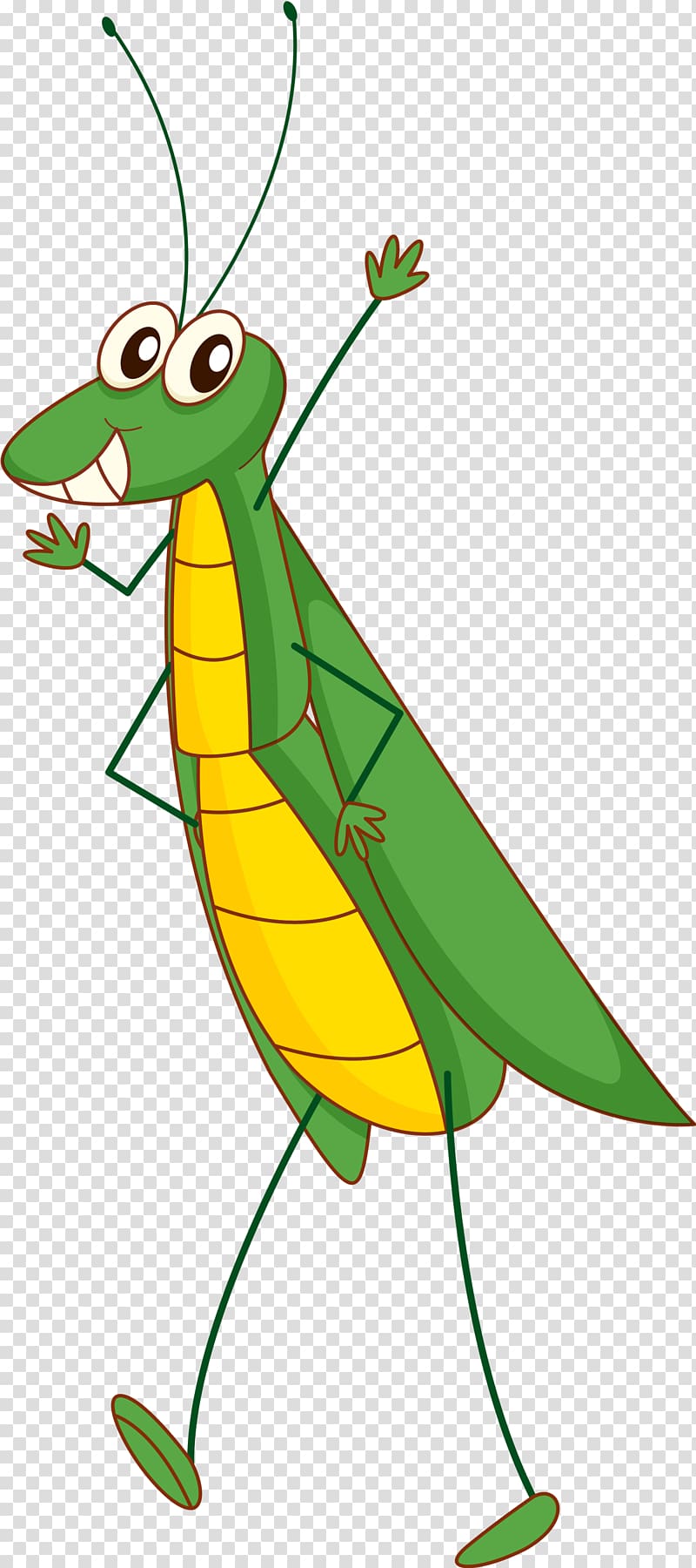 Insect Grasshopper , Cartoon Green Grasshopper transparent background PNG clipart