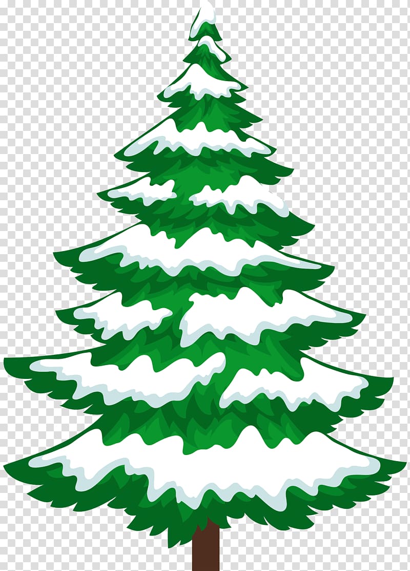 Snow Pine Tree Winter , pine tree transparent background PNG clipart
