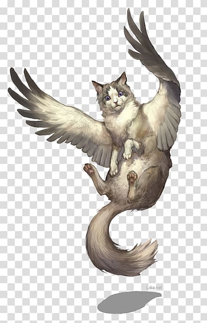 flying cat transparent background PNG clipart