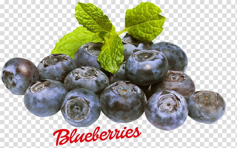 Blueberry Food Fruit Vaccinium myrtilloides, blueberry transparent background PNG clipart