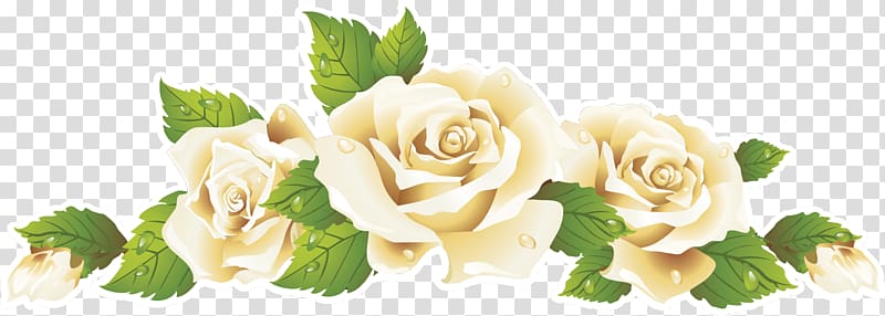 Garden roses Cut flowers Rosa × alba , flower transparent background PNG clipart