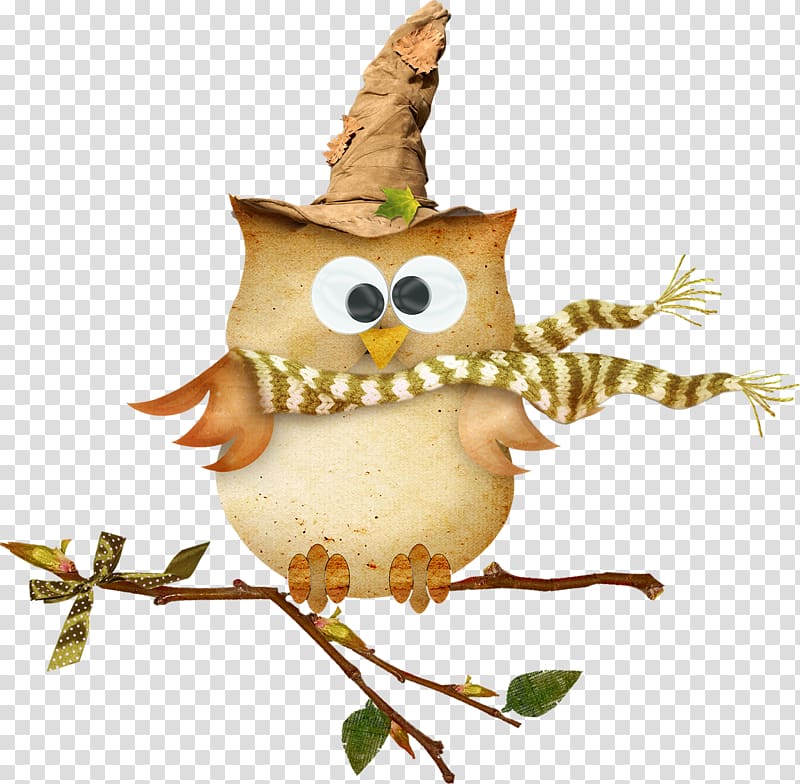 Bird True owl Little Owl, Cute owl transparent background PNG clipart