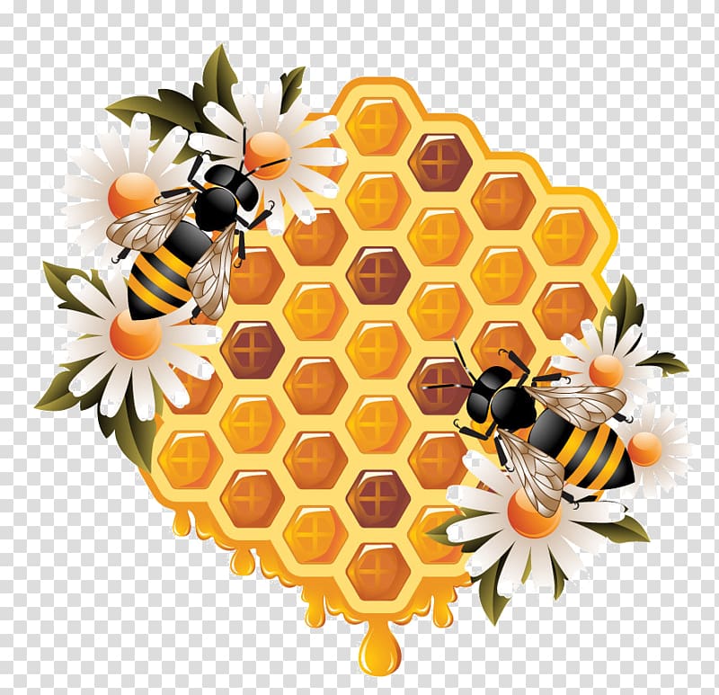 Honey bee Honeycomb Beehive, bee transparent background PNG clipart