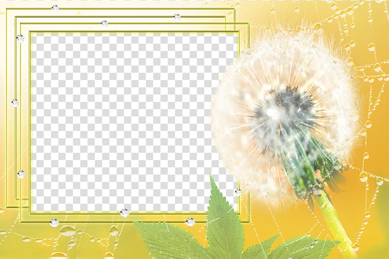 Drawing frame Software, Dandelion Frame Border transparent background PNG clipart