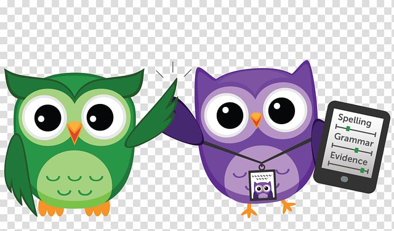 Owl , True Owl transparent background PNG clipart