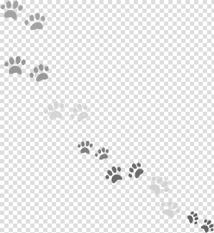 Cat Umbrella stand Paw Shiba Inu, Cat transparent background PNG ...